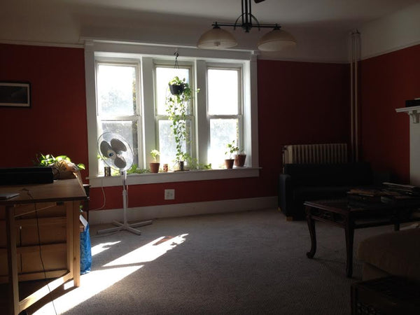 My roommate Zach and I are looking to get a few guests into our apartment for a  New York, NY Rental unit in Brooklyn · 1 bedroom · 2 beds · 1.5 baths Private room in rental unit vacation rental 10812960