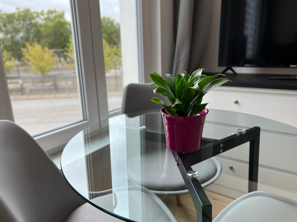 Self Check-in & Check-out, Stylish & Bright flat in center of Brussels.<br /><br Belgium Stylish & bright flat close to city center Entire rental unit vacation rental 710838502584253245