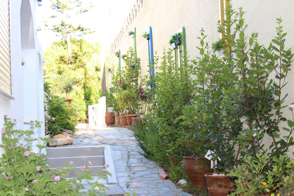 Our rooms are located in the center of Agia Pelagia. The whole area is surrounde Agia Pelagia, Greece 2-Bedroom apartment located close to famous beach Entire rental unit vacation rental 43826560