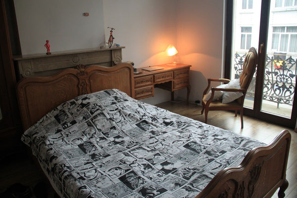 Looking for a cozy place in Brussels? Welcome to our beautiful house across the  Brussels, Belgium Across the Royal Palace (Room 2)! Private room in home vacation rental 3669481