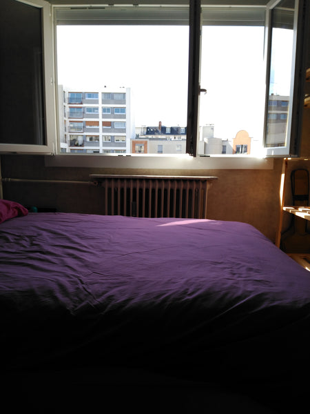 L'appartement est situé dans Paris à proximité de la place de la Nation, du péri Paris, France Chambre dans appartement tranquille proche Nation Private room in rental unit vacation rental 17711391