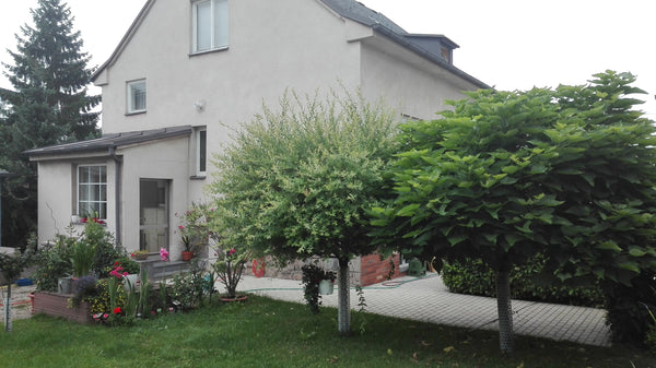 A separate flat in the ground floor of a family house in a quiet garden district Prague, Czechia Domeček Ella Entire home vacation rental 39499752
