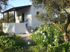 The property for is set in our 2,000 m2 olive grove located in the lush and peac Kos, Greece Kalokairi Cottage Entire guesthouse vacation rental 19548703