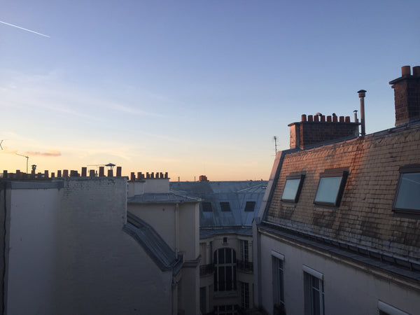C'est un charmant mini-appartement pour deux personnes, de style romantique et f Paris, France Votre nid sous les toits de Paris, bd Pereire. Entire rental unit vacation rental 19073825