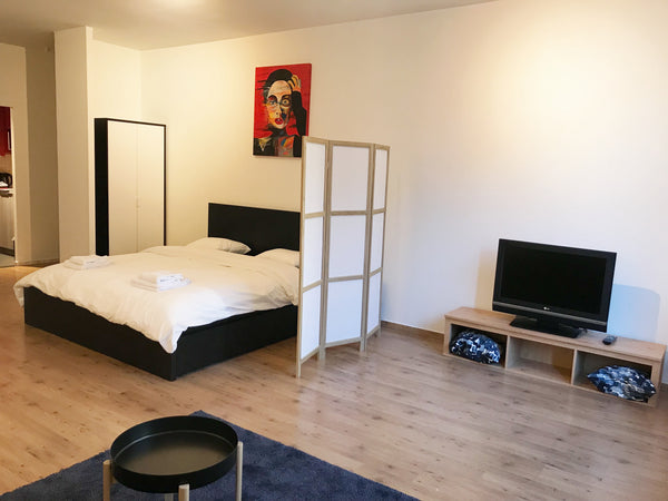 Modern design flat in the center of Antwerp, next to Antwerp city park, central  Antwerp, Belgium Trendy Flat in the Heart of Antwerp Entire rental unit vacation rental 29600232