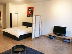 Modern design flat in the center of Antwerp, next to Antwerp city park, central  Antwerp, Belgium Trendy Flat in the Heart of Antwerp Entire rental unit vacation rental 29600232