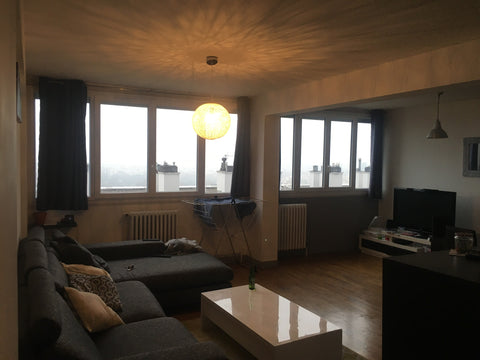 Bonjour,<br />Je loue mon appartement pour la fête des lumières. 500€ / jour pou Manziat, France Appartement pour les fêtes de la Lumière Entire condo vacation rental 30501761