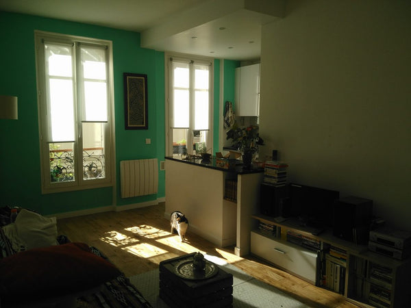 Appartement parisien de 45m² avec un salon avec cuisine ouverte et deux chambres Paris, France Chambre privée dans appartement du 19ème Private room in rental unit vacation rental 22560517