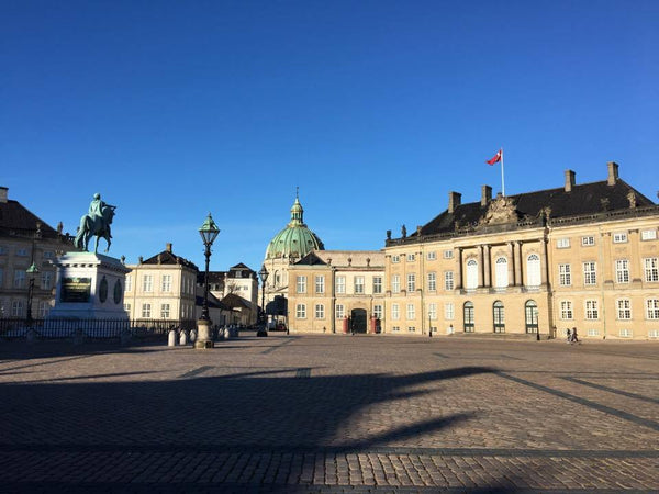 Real experience of Copenhagen! Come to the historic Frederikstad and live with m Copenhagen, Denmark The Queen's neighbour / Metro / Sanitized Private room in condo vacation rental 14298999