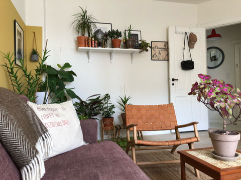 A charming apartment full plants located in the heart of the hip Nørrebro neighb Denmark A green oasis in the heart of Copenhagen! Entire condo vacation rental 50963395
