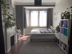 The Metro 5 and plenty busses are just 200m from the appartment. To the center i Brussels, Belgium Beautiful plant filled room in Brussels Private room in rental unit vacation rental 25880432