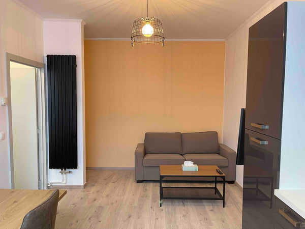 Ce logement  est proche de tous les sites et commodités. <br /><br />Appartement Brussels, Belgium Superbe appartement lumineux entièrement rénové Entire rental unit vacation rental 53840739