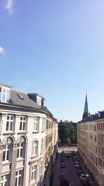 This bright and real copenhagen-style apartment has a beautiful view and is loca  Bright apartment right in the center of Copenhagen Entire rental unit vacation rental 19814690