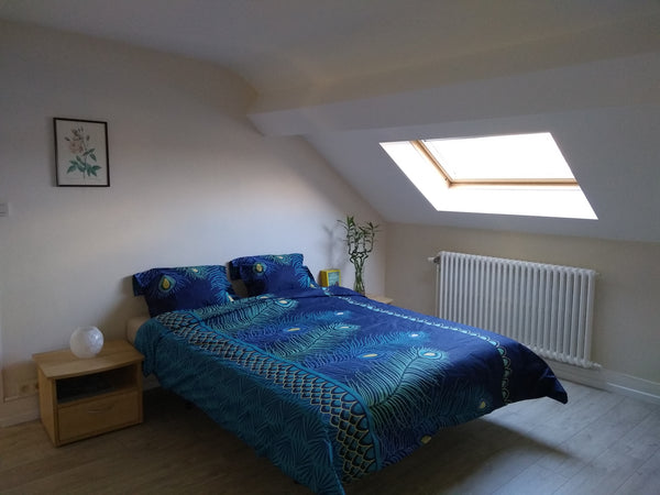 Clean, spacious and comfortable room in our authentic Brussels house, dating bac Brussels, Belgium a spacious room with double bed & prive showerroom Private room in townhouse vacation rental 31216048