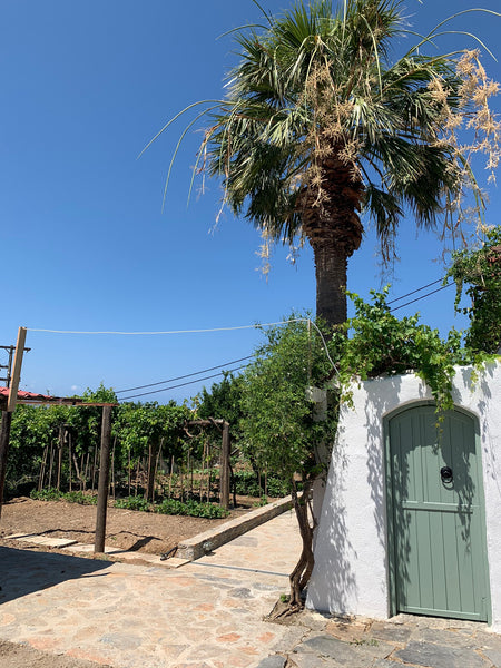 Tradithional Cretan Villa  with  own  garden with vegetables and lange Yard with Agios Nikolaos, Greece Vegan Cretan Villa with own Green Garden & Yard Entire villa vacation rental 44147295