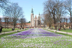 Beautiful apartment in the city center and right next to The Kings Garden. The a Denmark Spacious apartment in city center of Copenhagen Entire rental unit vacation rental 25964239