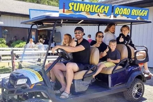 Six Seat Road Buggy Rentals  Private Tours and Travel Guide America Detroit REGION Michigan Destination Tour