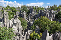 1 day Stone Forest & Guandu Ancient Town Tour  Private Tours and Travel Guide Asia Shanghai CITY Kunming Destination Tour Asia Shanghai CITY Kunming