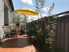 Charming and cosy apartment with a bright top floor terrace in a central and qui Vienna, Austria Charming apartment with a bright top floor terrace Entire rental unit vacation rental 37445029