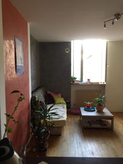 Chambre disponible dans une colocation à 2. Appartement spacieux, calme, dans un Lyon, France Lyon Centre : chambre privée dans appartement cosy Private room in rental unit vacation rental 53565743