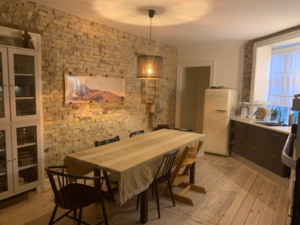 The apartment is 20 minutes walk and 5 minutes ride with a bicycle from the city Copenhagen, Denmark Cozy Copenhagen “Nørrebro” apartment Entire rental unit vacation rental 41831944