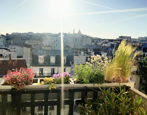 Appartement de 3 pièces rénové dans un style loft.<br />Très lumineux, avec une  Paris, France Appartement avec vue sur Montmartre et Sacré Coeur Entire condo vacation rental 16528558