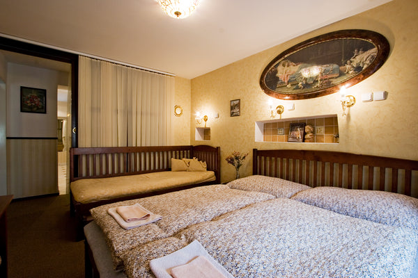 This charming apartment of 50 sq.m. is ideal for up to 6 people. It comprises 2  Czechia Downtown Apt w 2 Bdrms, Kitchen, WiFi & Cleaning Entire serviced apartment vacation rental 16002187