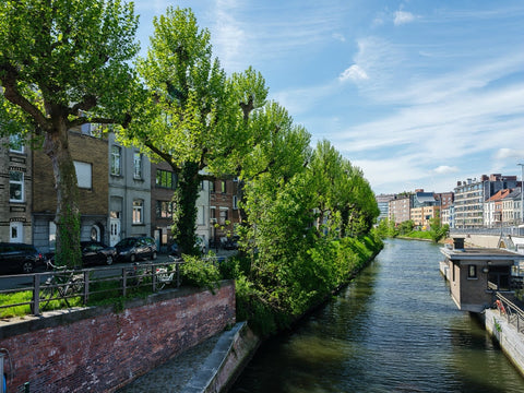 At the edge of the city center,  on an island between two arms of the Scheldt, y Ghent, Belgium spacious room with a balcony and water views Private room in townhouse vacation rental 33161918