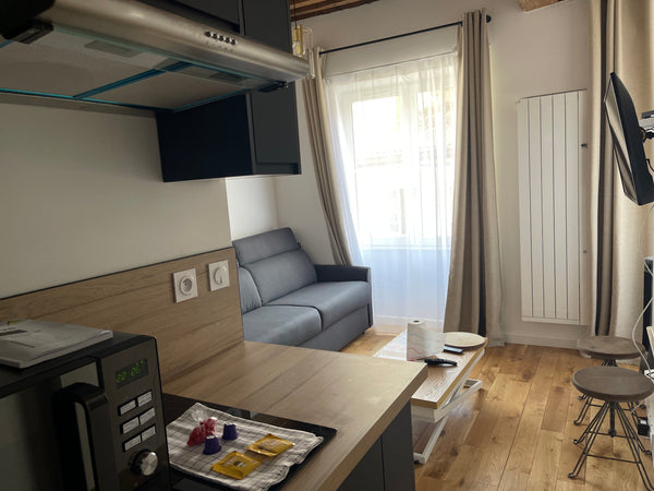 You will spend a pleasant stay in my well furnished 17 sqm studio, ideally locat Lyon, France Cozy studio near the city hall, Lyon 1st Entire rental unit vacation rental 50714127