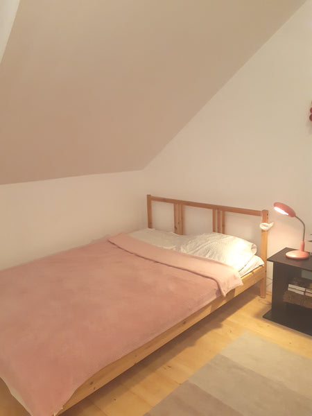 Vienna, Austria SUPER CENTRAL COSY FLAT Entire rental unit vacation rental 30456653