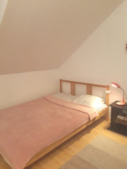  Vienna, Austria SUPER CENTRAL COSY FLAT Entire rental unit vacation rental 30456653