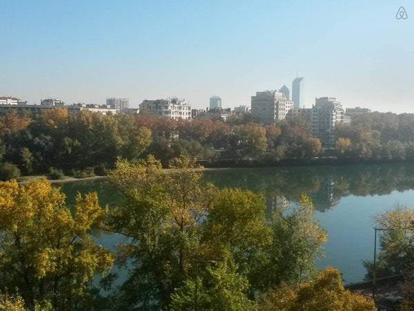 Appartement très spacieux, lumineux, tout équipé belles prestations, central au  Lyon, France Superbe T1 80 m2 vue Rhône Entire rental unit vacation rental 10420548