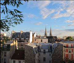 Entre métro Jourdain et Botzaris, à 10 minutes de Châtelet par ligne 11 et à 2 p Paris, France grand 2 pièces avec balcon au sud Entire rental unit vacation rental 6271404