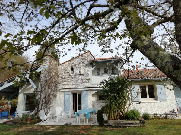 Ma maison se situe dans un quartier résidentiel à Saint Aubin de Médoc , près de  Maison calme entre Bordeaux , l'océan , le Médoc Entire home vacation rental 33523012