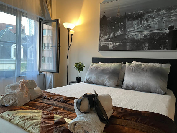 This  apartment is situated a stone throw away from the most popular site in Bru  CITY CENTER GARAND PLACE BRUSSELS Private room in condo vacation rental 632628784771724626