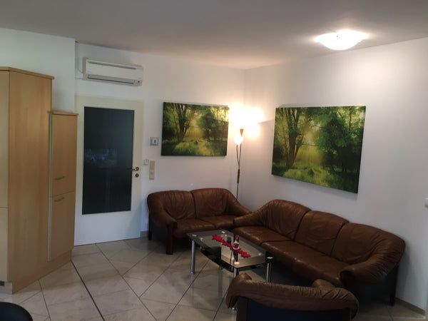 The flat is located in one of the quiet areas of Vienna, directly next to the ri Vienna, Austria Big Flat - 3 Sleeping rooms Entire rental unit vacation rental 41628376