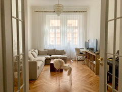 Sunny and fully furnished apartment with a separate fully equipped kitchen locat Prague, Czechia Spacious apartment with high ceiling in Prague 3 Entire condo vacation rental 644781072095061314