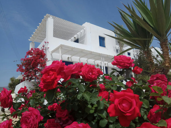 Our accomodation consists of a number of Studios and Apartments<br />The Studios Paros, Greece Nicos studio A Entire rental unit vacation rental 6804707