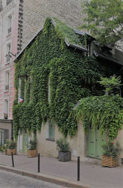 Little house in Montmartre. 90 m2. 3 bedrooms for 5 persons. Located in Montmart Paris, France House in Montmartre - Sacré Coeur - Parking incl. Entire home vacation rental 19062269