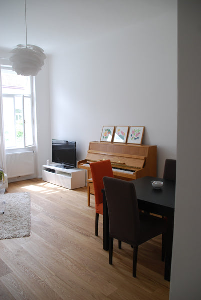 Beautiful, newly renovated apartment with high ceilings, lots of light, and lots Vienna, Austria Bright, lovely apt in Vienna Entire rental unit vacation rental 11541583