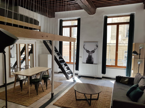 Appartement charmant neuf avec son plafond à la française, meublé Type T1 (40m²) Lyon, France Les Jardins de Tête d'Or Entire rental unit vacation rental 50154696