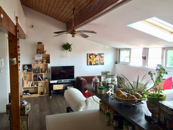 Bordeaux, France Appartement mansardé avec vue, proche Victoire Entire rental unit vacation rental 26315118