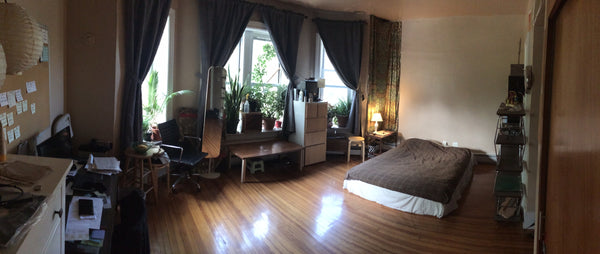 Large, sunlit room with many plants on second floor, two blocks from Prospect Pa Pegasus, New Zealand Home in Brooklyn · 1 bedroom · 1 bed · 1 bath Private room in home vacation rental 6384560