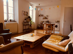 Pour vous reposer lors de votre visite de cette superbe ville qu'est Lyon<br />j Lyon, France Appartement au bord de la Saône Private room in rental unit vacation rental 26071994