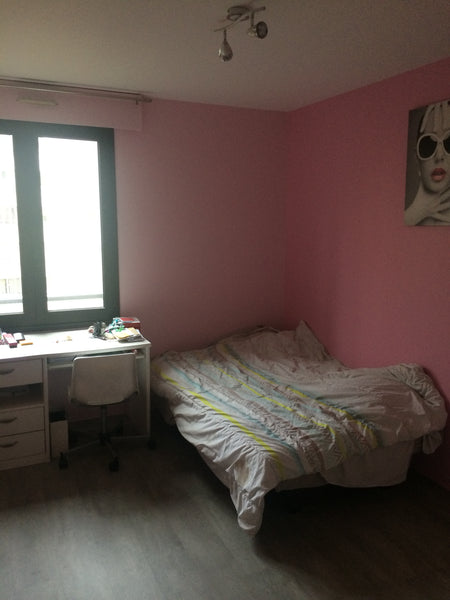 Chambre privée (12 M²), située dans un appartement 4 pièces de 93 M². Chambre éq Paris, France Chambre privée avec salle d'eau privative Private room in rental unit vacation rental 20738746