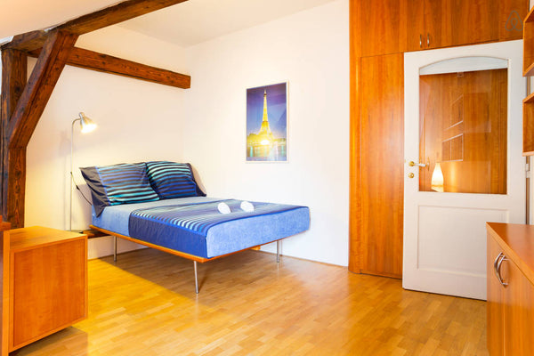 Professionally-CLEANED  flat, perfectly located in quiet street in the city-cent Prague, Czechia Premium LOFT Private ATTIC Downtown Entire condo vacation rental 627867821855505632