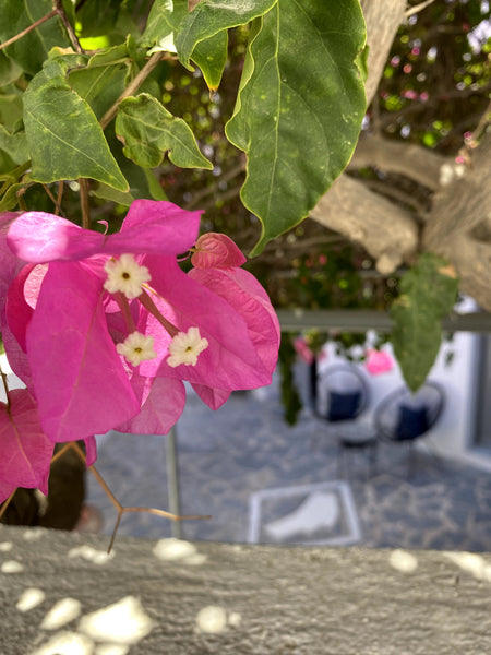 A Santorin, dans le village de Mesaria, situé au centre de l’île, il y a les mai Carouge, Switzerland Kefia 2 . Il y a des maisons qui nous parlent. Cycladic home vacation rental 52100053