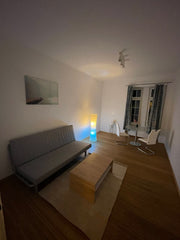 Kick back and relax in this calm, stylish space.  Lovely apartment in beautiful neighborhood Entire condo vacation rental 53864516
