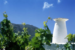 This is an old traditional place - the house of my grandparents.  We renovated i Athens, Greece A cozy family house Cycladic home vacation rental 13295321