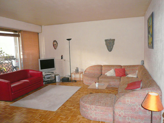 Nice living  room (25sq M)  with large windows and 2 balconies<br />kitchen all   PARIS 15  1 TO 2 BEDROOMS/  FLAT 90M2/ 1 TO 6 PERS Private room in rental unit vacation rental 6486422